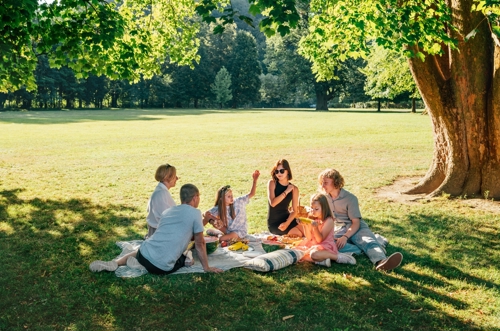 Family in a sunny park