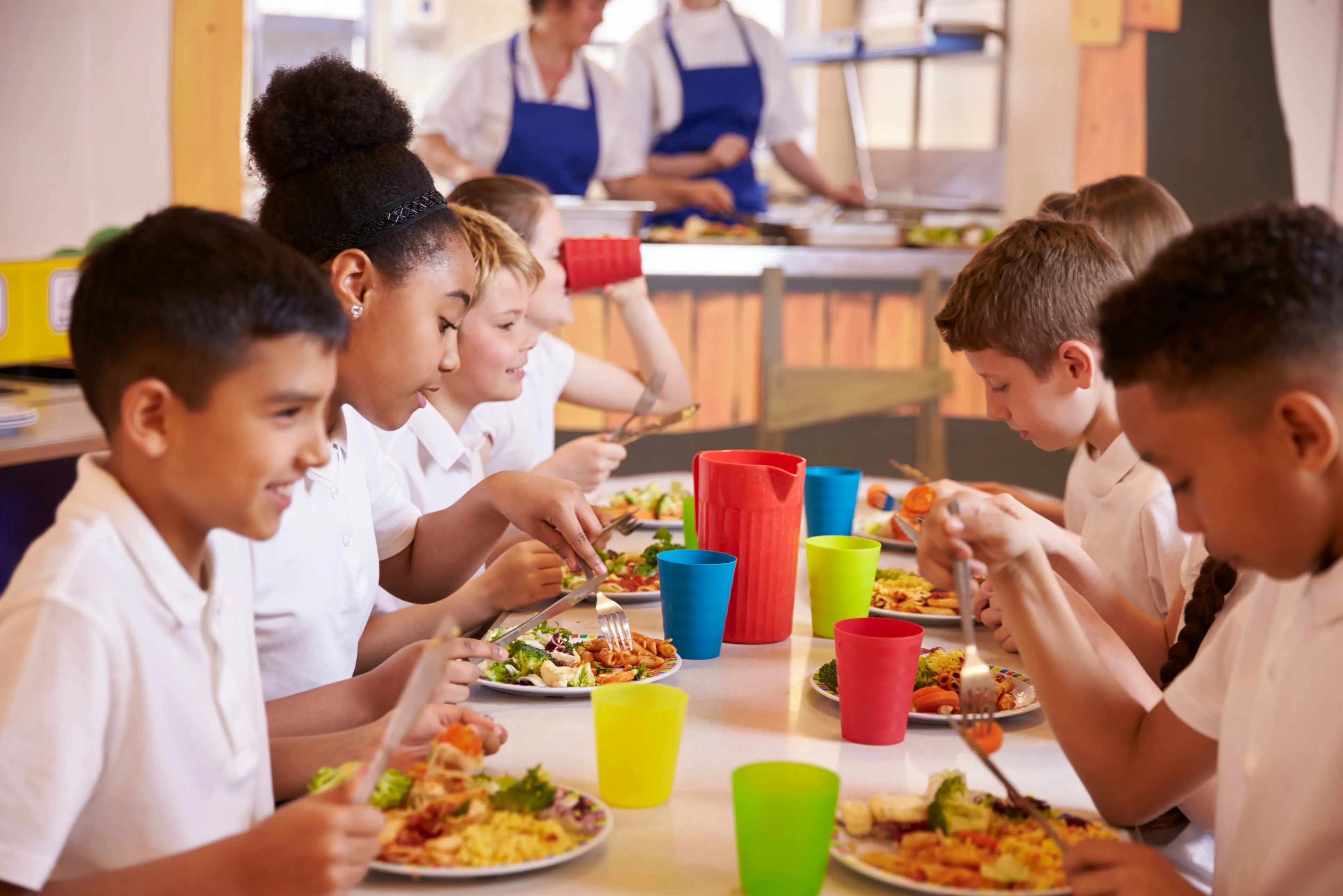 Olive Branch Healthy Eating